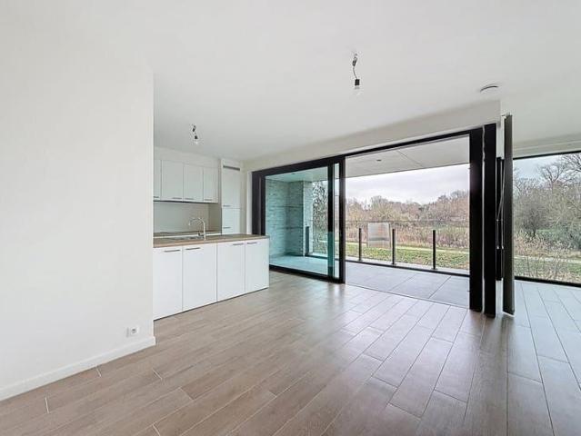 Appartement location à Tienen, Brabant