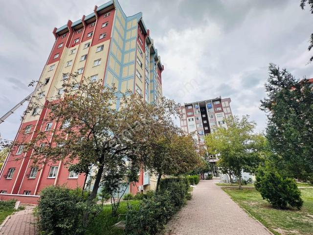 Toki Konutları, Selçuklu içerisinde kiralık mülk