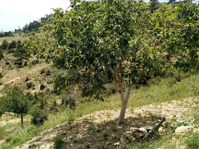 Mut, Mersin içerisinde satılık mülk