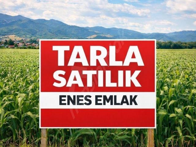 Özyurt, Kazımkarabekir içerisinde satılık Arsa