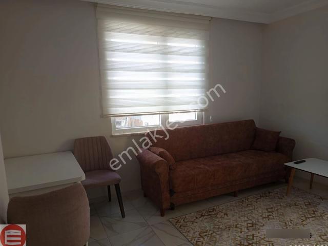 Karaman Merkez, Karaman içerisinde kiralık mülk