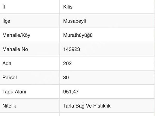 Musabeyli, Kilis içerisinde satılık mülk