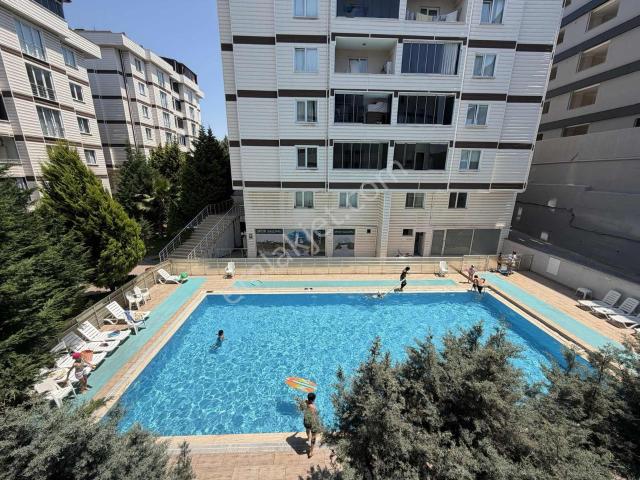 Çayirova, Kocaeli içerisinde kiralık mülk