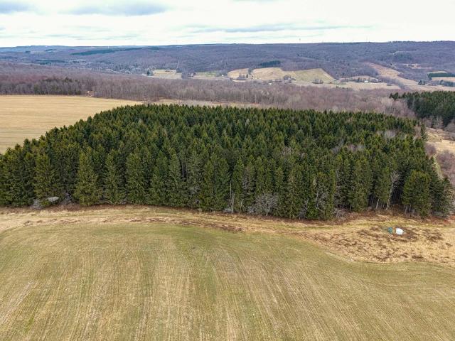 Land for sale in Gerry, New York