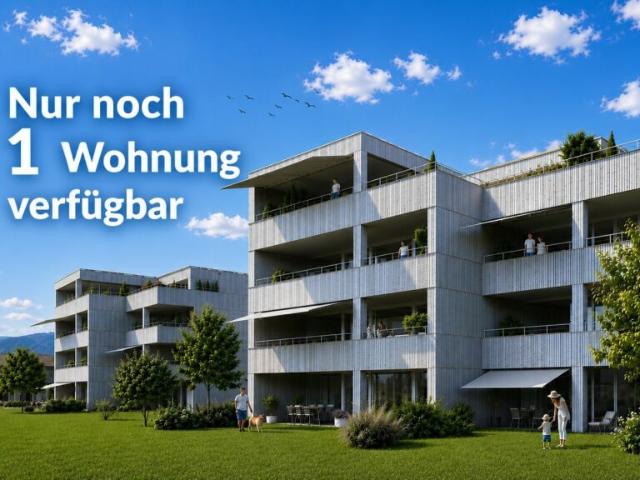 Attikawohnung kaufen in Däniken (SO), Solothurn