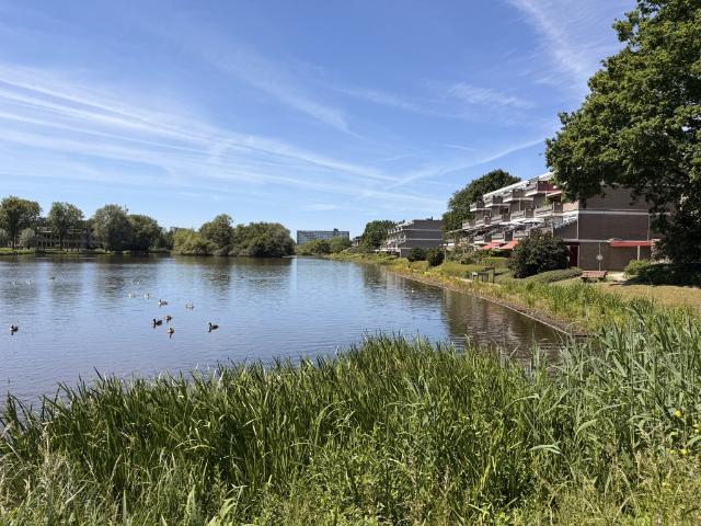 Appartement te huur in Aahof, Zwolle