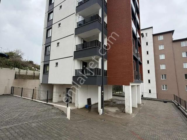 Belenyeni Mahallesi, Ereğli içerisinde kiralık mülk