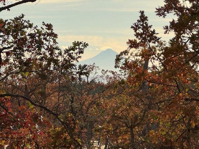 Land for sale in Goldendale, Klickitat County