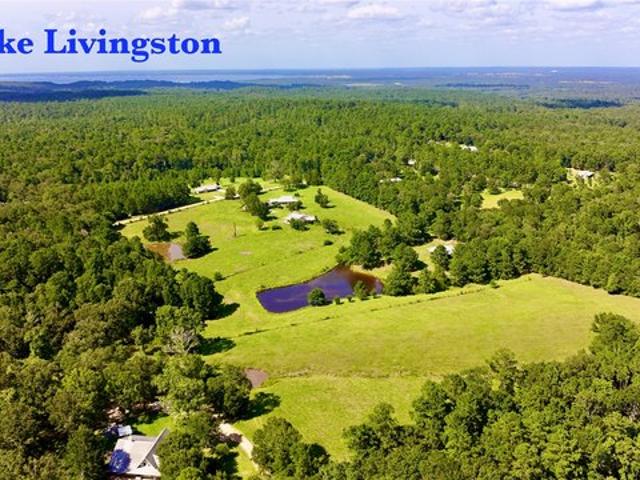 Land for sale in Coldspring, Texas