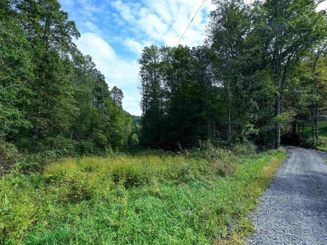 Farm for sale in Philippi, Barbour County