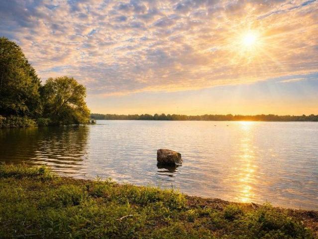 House for rent in Douro-dummer, Ontario