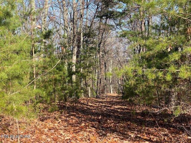 Land for sale in Newport, East Tennessee