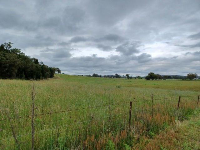 Land for sale in Eurunderee, New South Wales