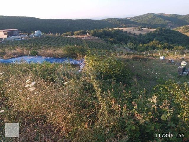 Çinarcik, Yalova içerisinde satılık mülk