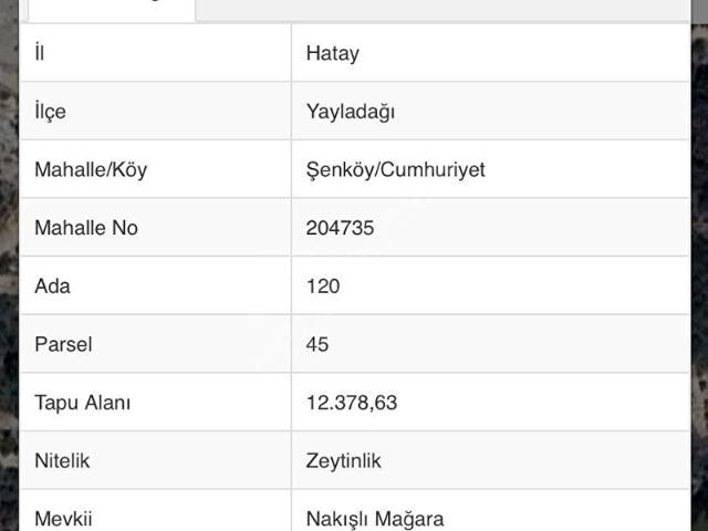 Şenköy, Yayladağı içerisinde satılık Arsa