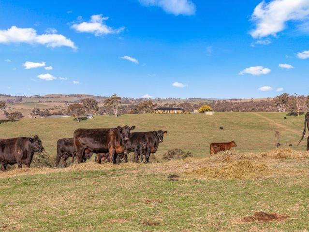 Acreage for sale in Bathurst, New South Wales