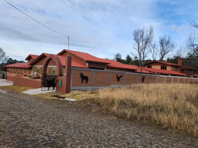 Terreno en venta en Pueblo Nuevo, Durango