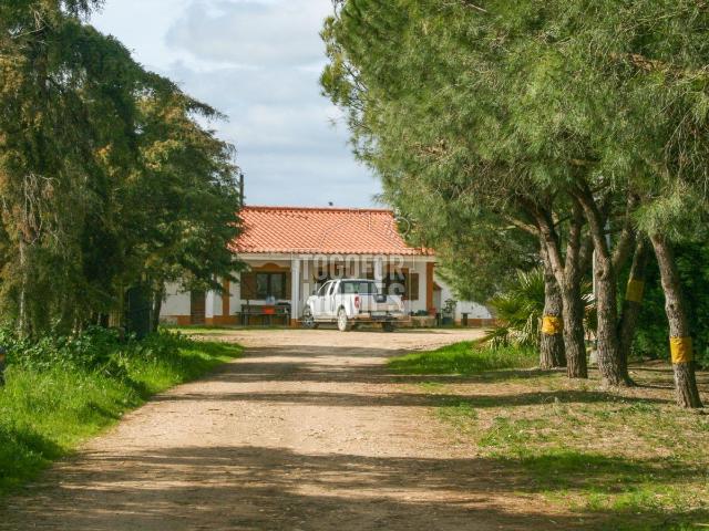 Vivenda venda em Bairro Plano, Aljustrel