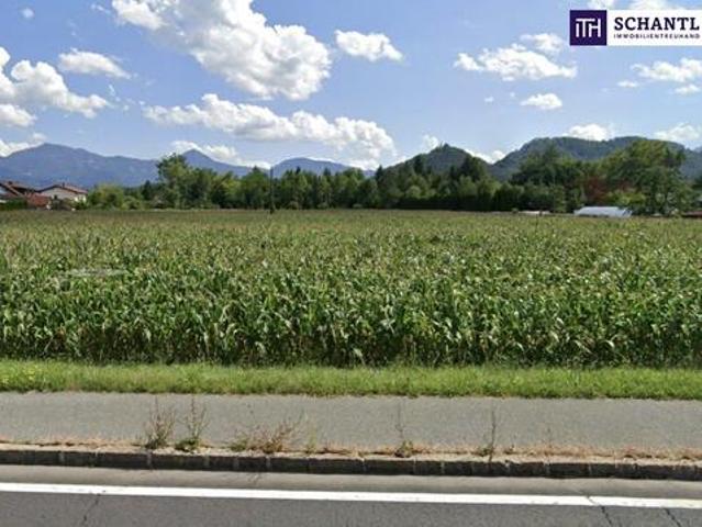 Grundstück kaufen in Kärnten