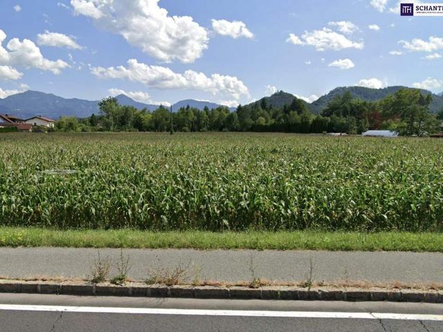 Grundstück kaufen in Oschenitzen, Völkermarkt
