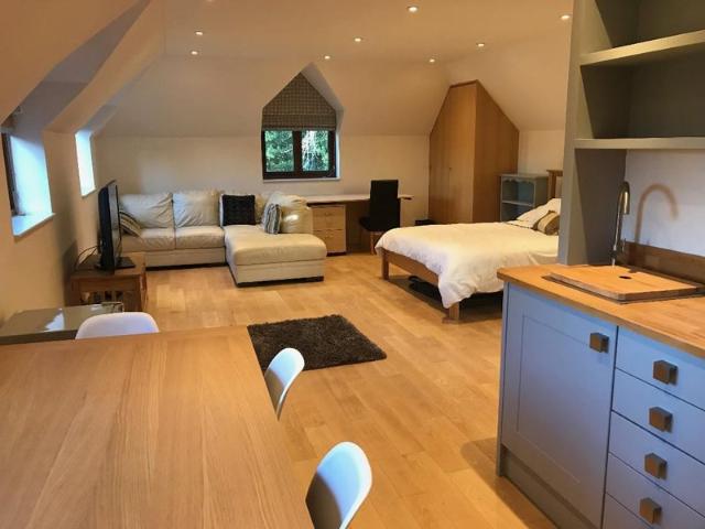 Studio for rent in Greater London