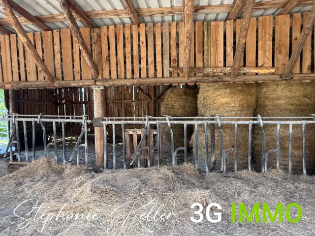 Maison vente à Au Grand Breuil, Lièpvre