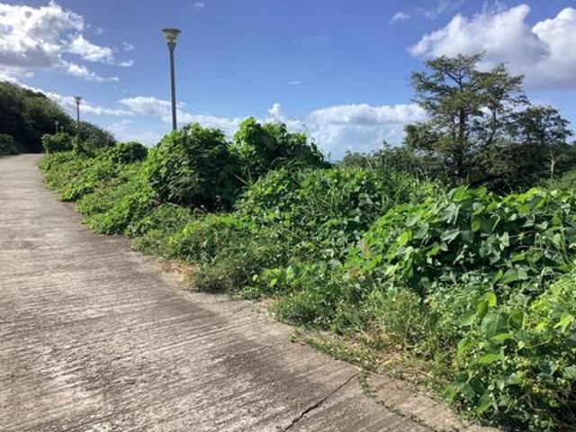 Terrain vente à Nanterre, Rueil-malmaison