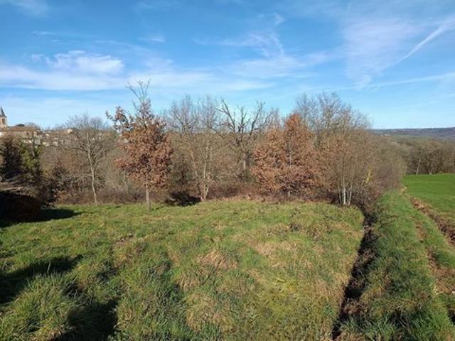 Terrain vente à Albi, Mirandol-bourgnounac