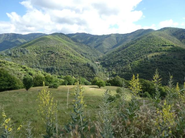 Maison vente à Valleraugue, Val-d'Aigoual