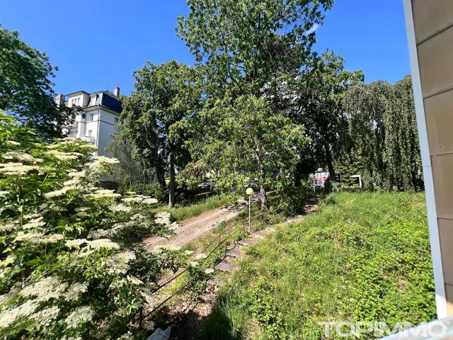 Local Commercial vente à Colmar-Ribeauvillé, Ammerschwihr