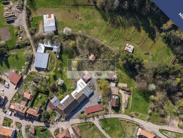 Maison vente à Sélestat-Erstein, Steige