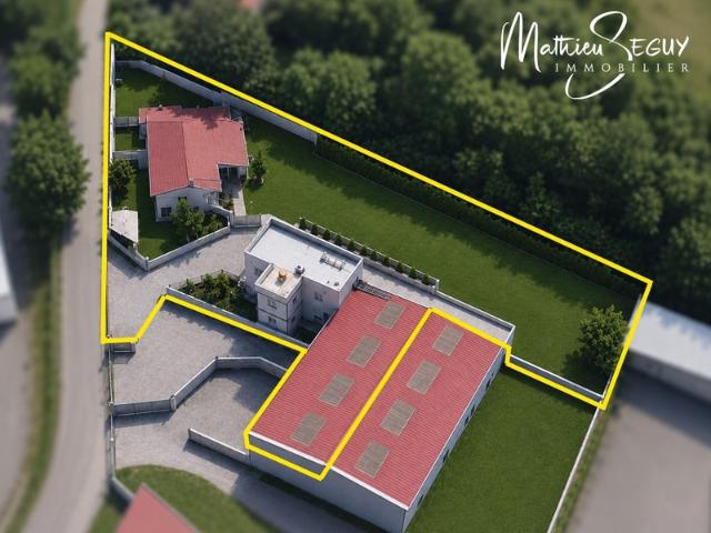 Maison vente à Lyon, Métropole de Lyon