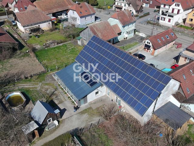 Maison vente à Aspach-le-Bas, Collectivité européenne d'Alsace