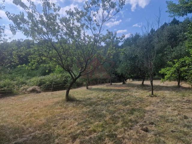 Appartement vente à Alès, Le Martinet