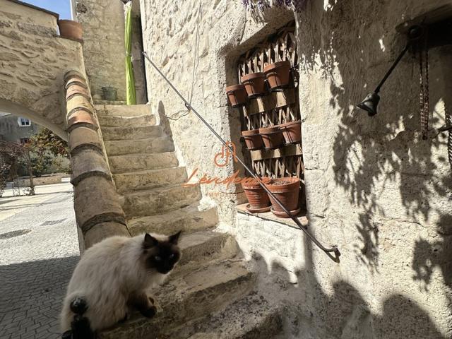 Maison vente à France métropolitaine, Châteauneuf-du-rhône