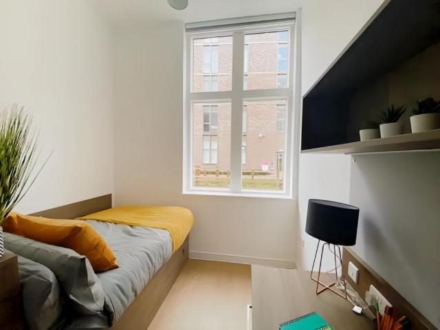 Room for rent in Westwood Heath, West Midlands