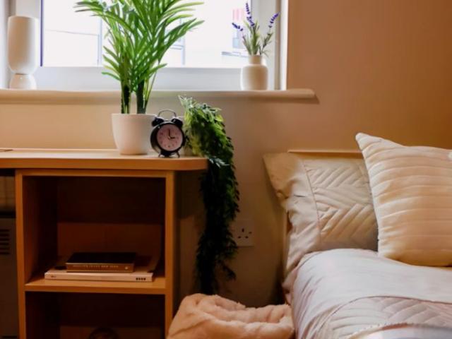 Room for rent in Haddon, East Midlands