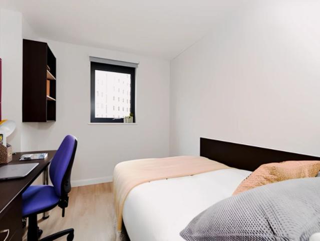 Room for rent in Waun-wen, Nangreaves