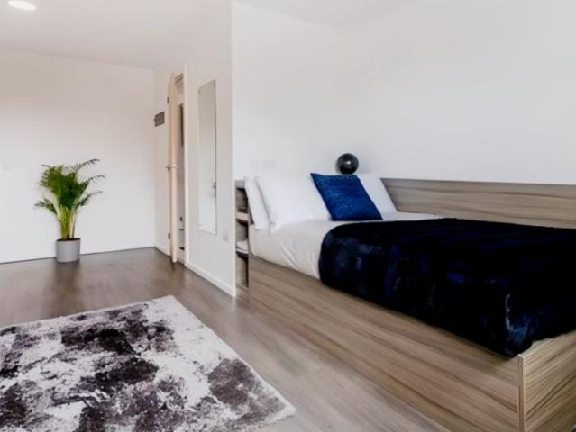 Room for rent in City Centre, South Yorkshire