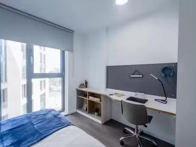 House for rent in St George's Quarter / Cultural Quarter, Calderstones
