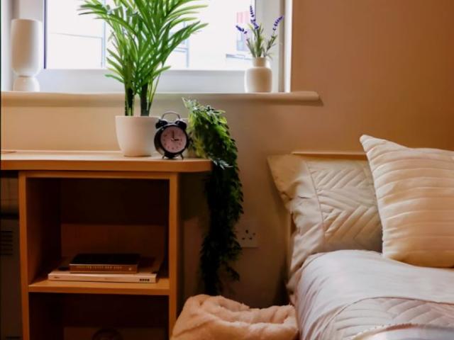 Room for rent in Haddon, East Midlands