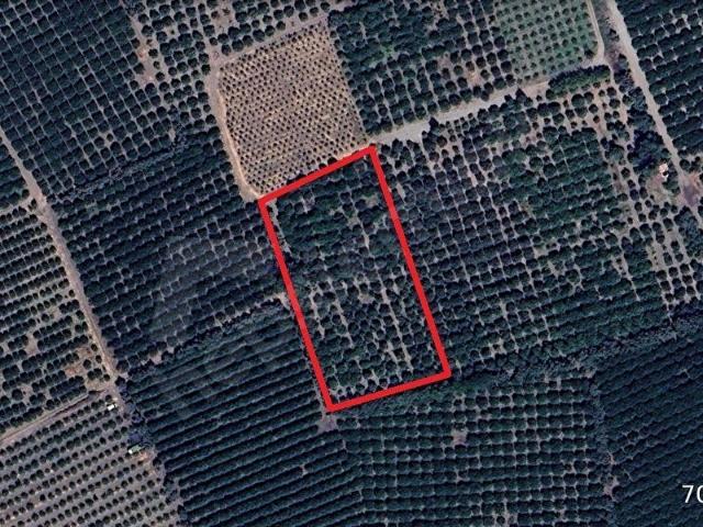 Dörtyol, Hatay içerisinde satılık mülk