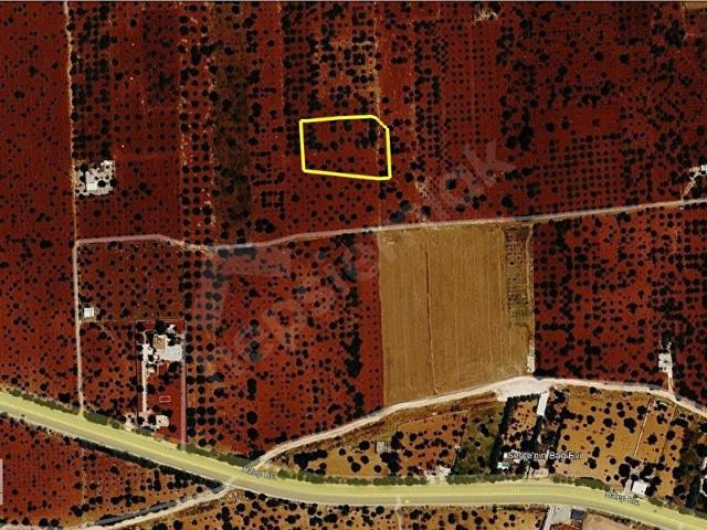 Şahinbey, Gaziantep içerisinde satılık Arsa