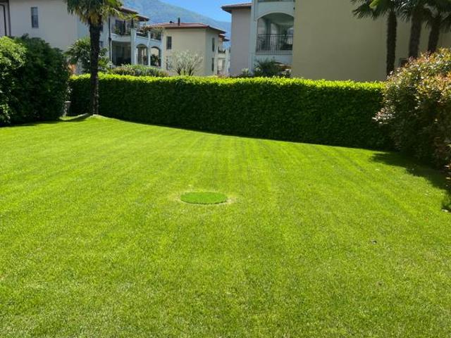Wohnung kaufen in Ascona, Tessin