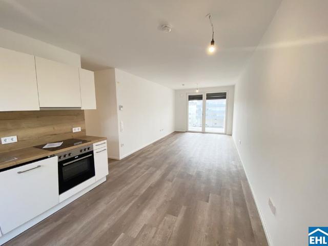 Apartment mieten in Michelhausen, Niederösterreich