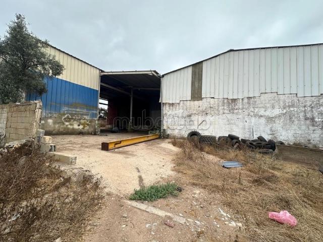 Ferme vente à Sahel Oulad H'riz, Chaouia-Ouardigha