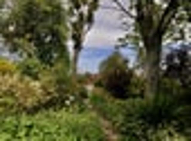 House for sale in Waimate, Canterbury
