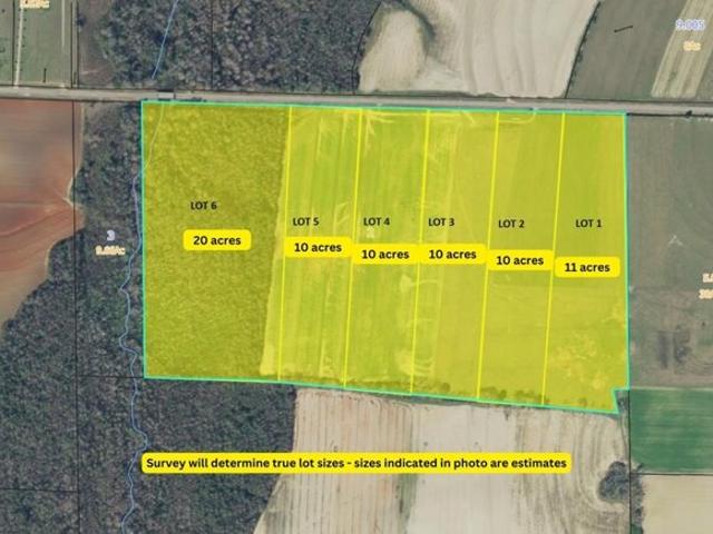Land for sale in Ashford, Alabama