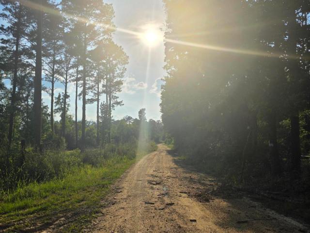Land for sale in Roxie, Mississippi