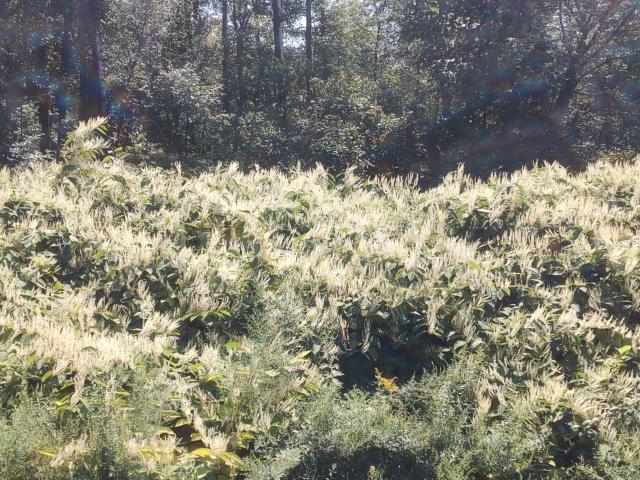 House for sale in Nanticoke, Pennsylvania